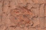 CapeYork0677.jpg