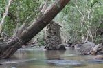 CapeYork0687.jpg
