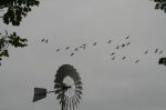 CapeYork0711.jpg