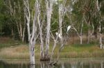 CapeYork0715.jpg