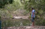 CapeYork0761.jpg