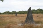 CapeYork0765.jpg