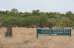 CapeYork0767.jpg