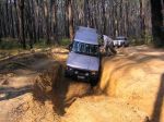 Toolangi040802.jpg