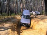 Toolangi040803.jpg