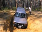 Toolangi040804.jpg