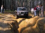Toolangi040805.jpg