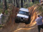 Toolangi040808.jpg