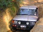 Toolangi040818.jpg
