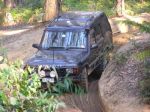Toolangi040820.jpg