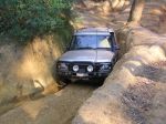 Toolangi040823.jpg
