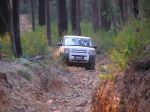 Toolangi040824.jpg