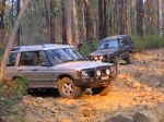 Toolangi040834.jpg