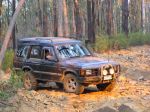 Toolangi040835.jpg