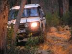 Toolangi040836.jpg