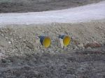 Windera0012.jpg