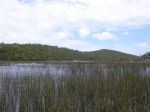 P1050150.JPG