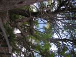 PC310024.JPG
