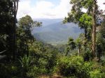Kokoda103.JPG