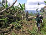 Kokoda111.JPG