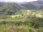 Kokoda209.JPG