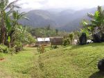 Kokoda220.JPG