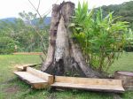 Kokoda295.JPG
