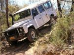 Max in Tusker[1].jpg