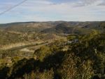 DSC00135.jpg