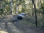 DSC00137.jpg