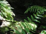 PC070042.JPG