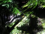 PC070049.JPG