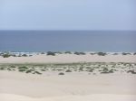 P1010025.JPG